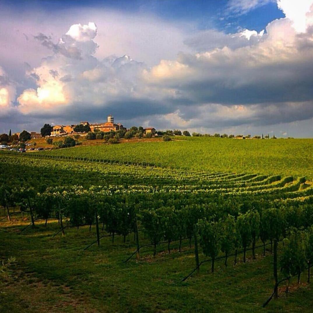 House With A View In Tuscany